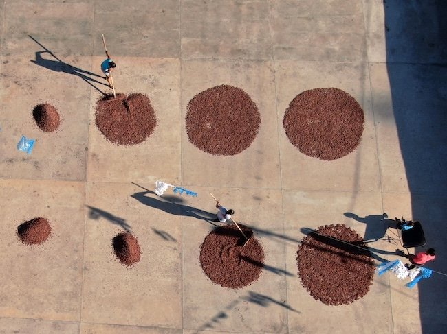 photo de producteurs de chocolat en Amérique du Sud